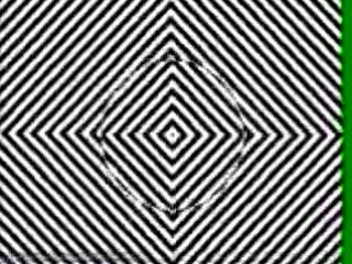 cool optical illusion